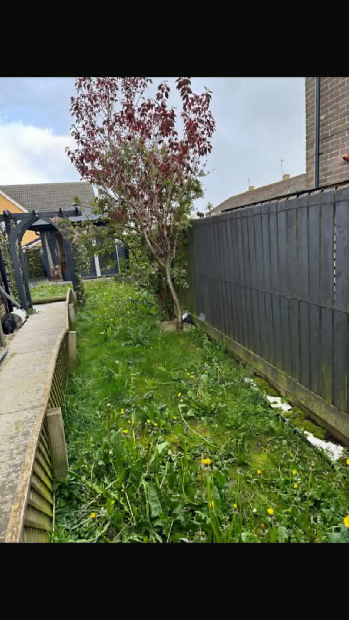 Garden Clearance & Landscaping — before